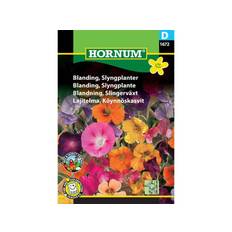 Blanding frø, Slyngplanter (D)
