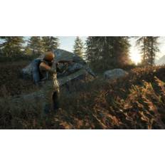 theHunter: Call of the Wild - Weapon Pack 1 DLC EU PC Steam CD Key