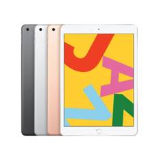 iPad 10,2 256GB 4G (9th gen)