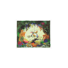 Papageno 50x40 cm