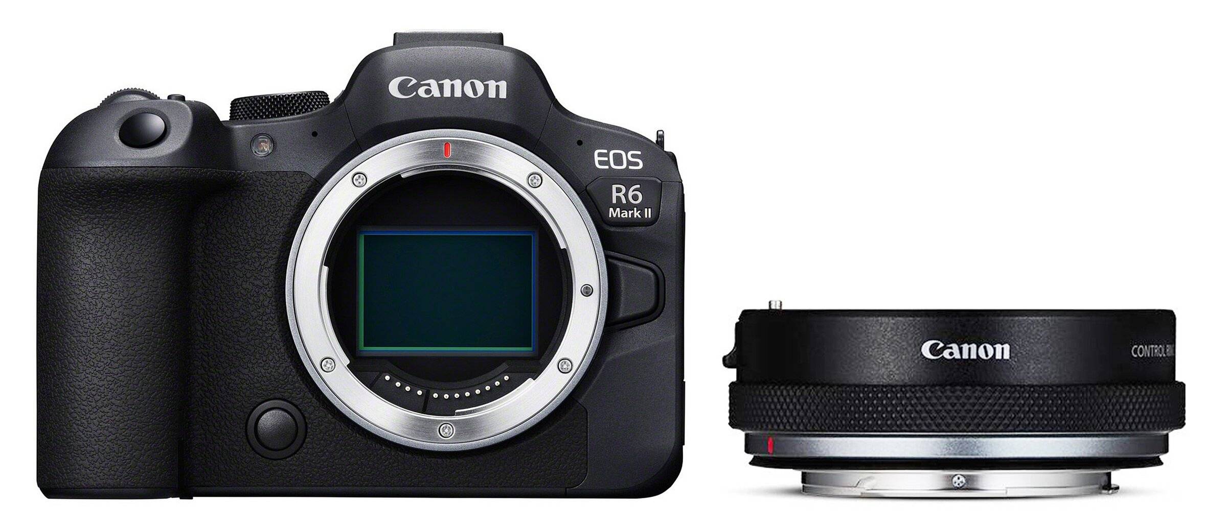 Canon EOS R6 Mark II + lens adapter (with control ring)