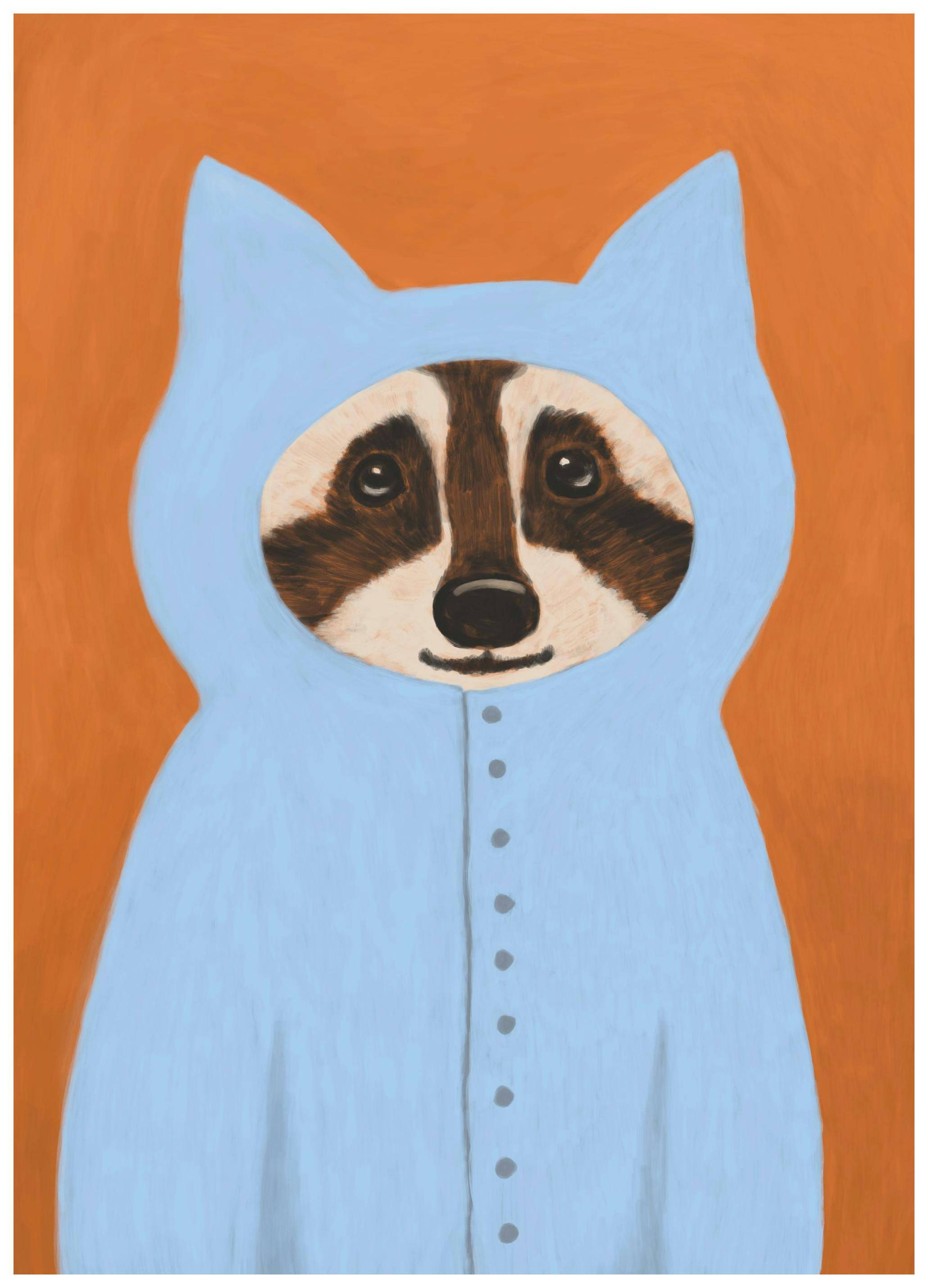 Racoon Poster (50x70 cm)