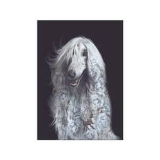 Portraits Afghan Dog - A4