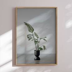 Plakat - Strelitzia Plakat - Str:70 x 100 Cm - Incado