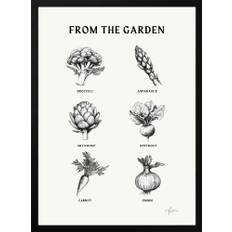 From The Garden – Black & White Collection Poster - 50x70 cm / 20x28″