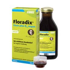 FLORADIX Eisen plus B12 vegan Tonikum - 250 ml