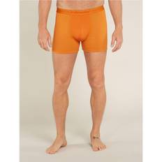 Icebreaker M Anatomica Boxers Ray (XL)