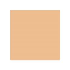 COLORAMA 1100 CARAMEL 2.72X 11 M.