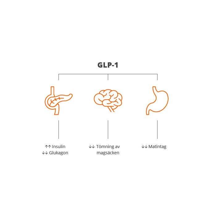 Essentials GLP-1 Aktiv, hög dos - veganskt, 60 kapslar