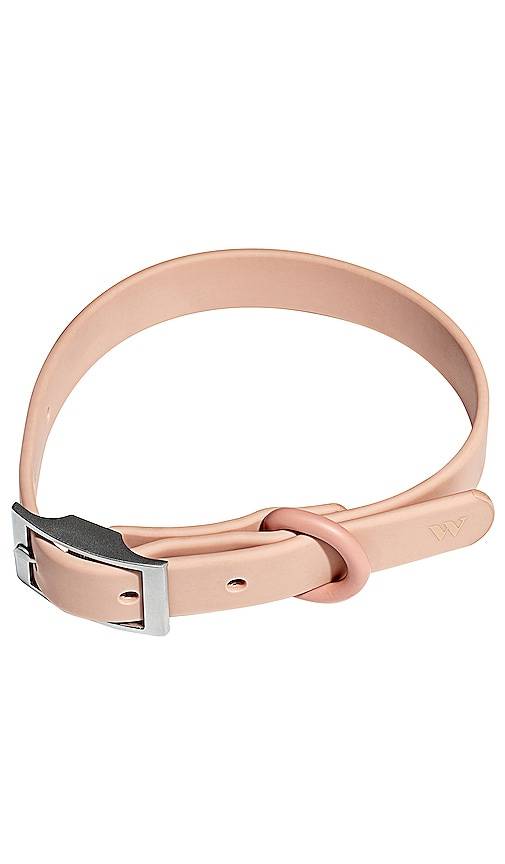 Wild One HUNDEHALSBAND WILD ONE DOG COLLAR in Blush.