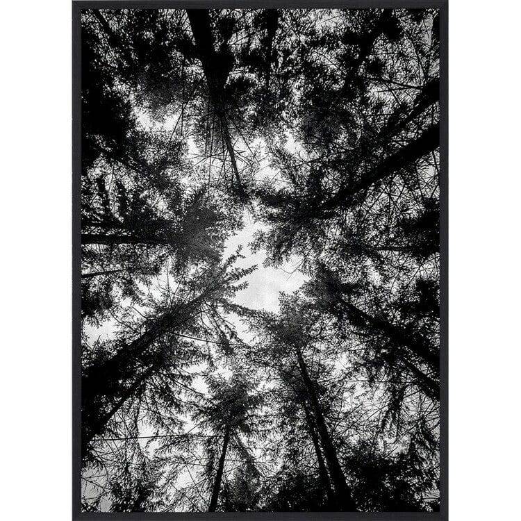 Estancia Poster The Treetops