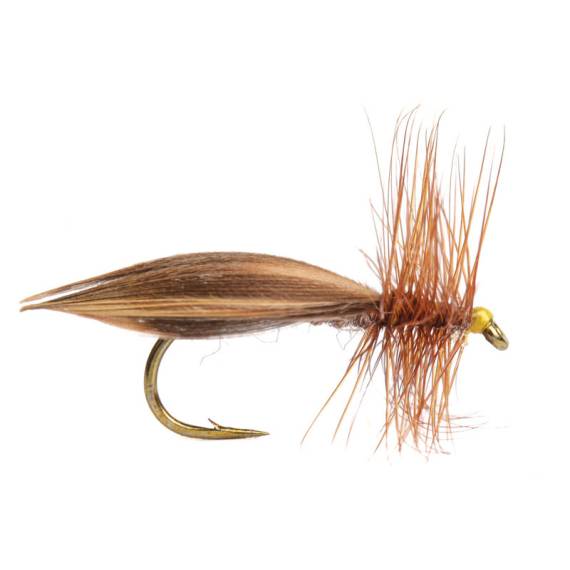 Europa 12 size 12