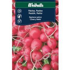 Weibulls Radise Cherry Belle (Raphanus sativus Cherry Belle)