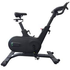 Titan LIFE Indoor Bike S96, Motionscykel