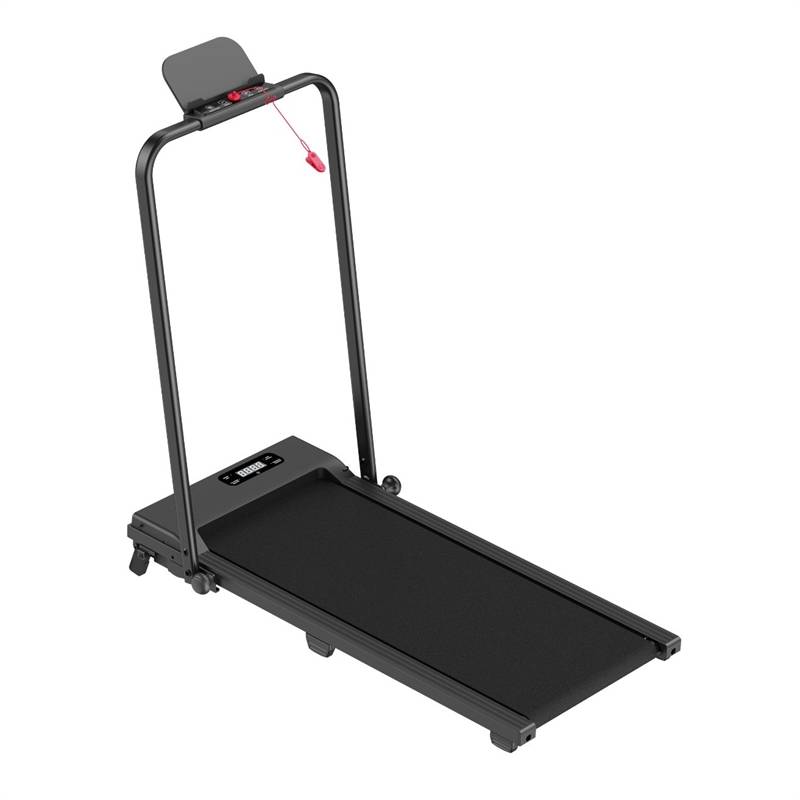 Camino Premium Gåband