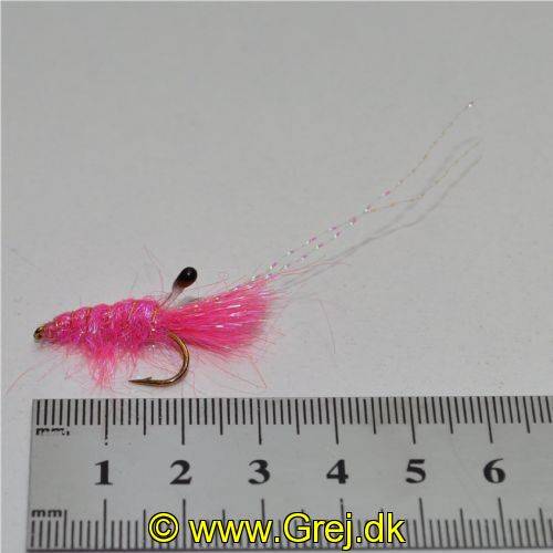 DF Shrimp - Str6.