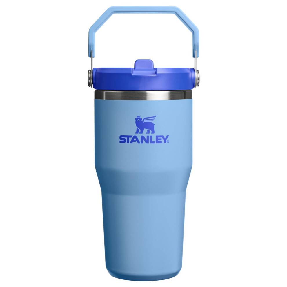 STANLEY IceFlow 2.0 Flip Straw Tumbler 20 oz | Twist Lid and Straw | Leakproof Insulated Bottle