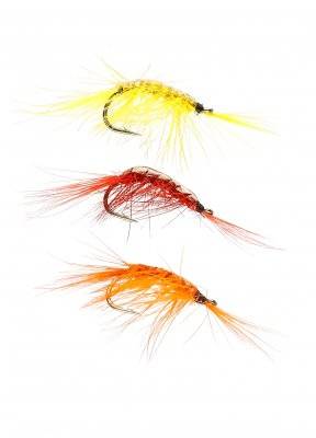 IFISH Pimpelräkor 3-pack (Modell: Gammarus)