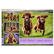 Irish Setter - pure grace (Wall Calendar 2025 DIN A3 landscape), CALVENDO 12 Month Wall Calendar: Elegant pointing dog with temperament and stamina