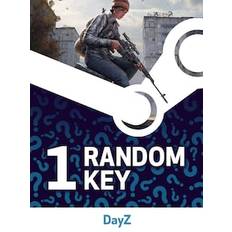 Try to get Dayz 1 Key (PC) - Steam Key - GLOBAL