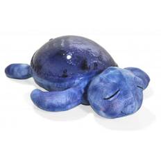 Cloud B Tranquil Turtle, Ocean
