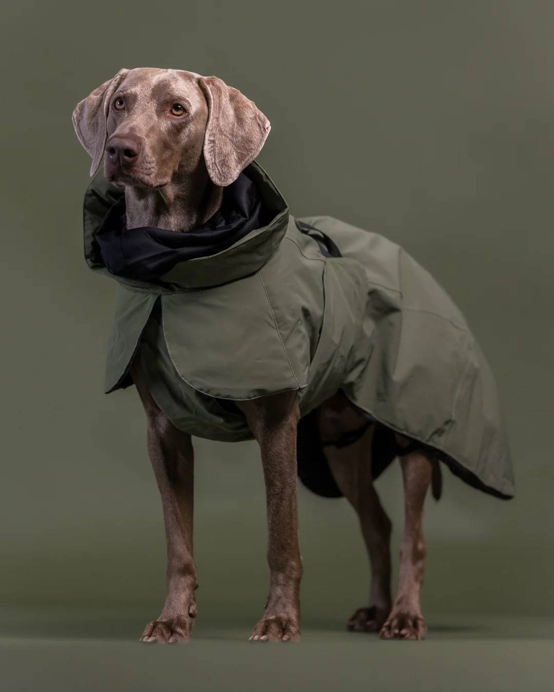 Visibility Winter Jacket Wool Täcke Grön 50cm