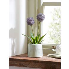 Next Purple Artificial Allium Plant In Ribbed Ceramic Pot
