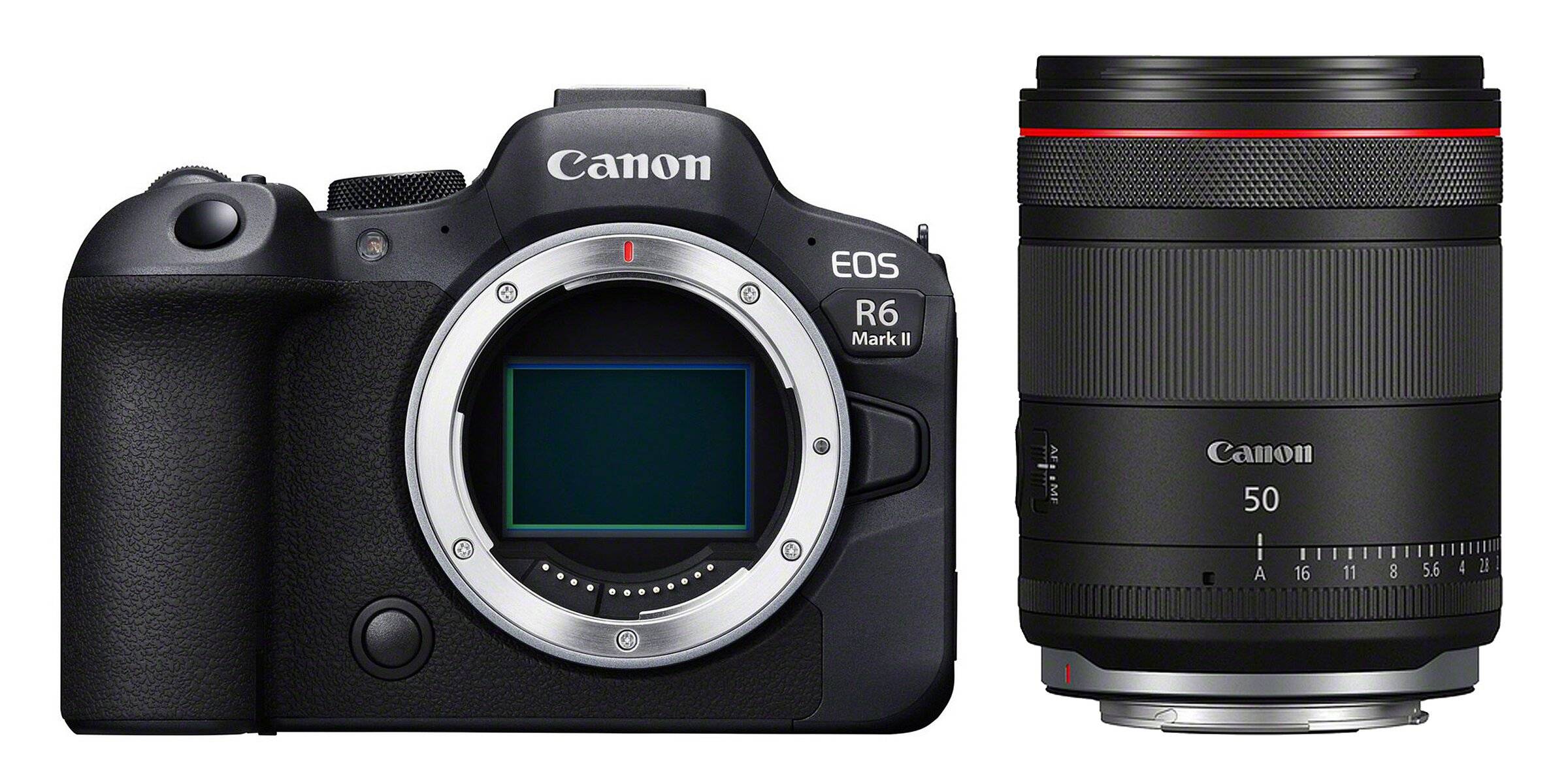 Canon EOS R6 Mark II + RF 50mm f/1.4 L VCM