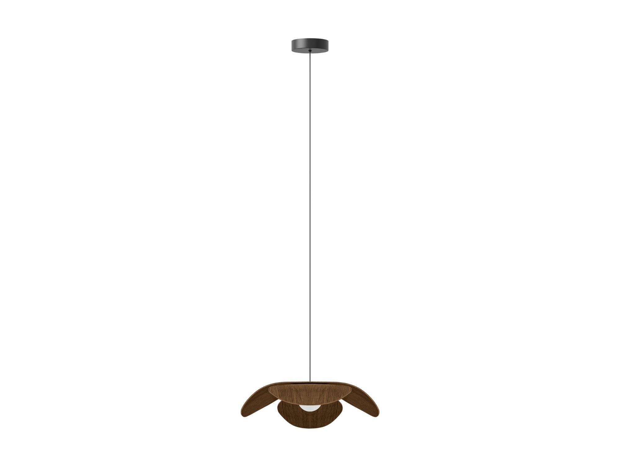 UMAGE - Forget Me Not lampe inkl. ophæng - Medium - Ø28 x H7 cm / Lakeret mørkbejdset eg