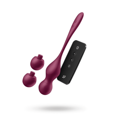 Satisfyer Love Birds Vary Connect App