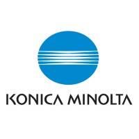 Konica Minolta DV-613K (A1DY600) svart developer (original)