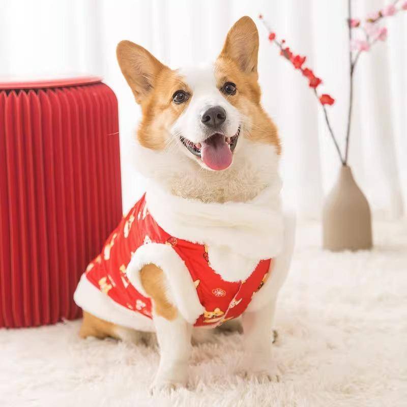 Höst och Vinter Corgi Tang Heltryckta Tvåbenta Kläder Mellanstor och Stor Hund Schnauzer Tax Sällskapshund Hundkläder