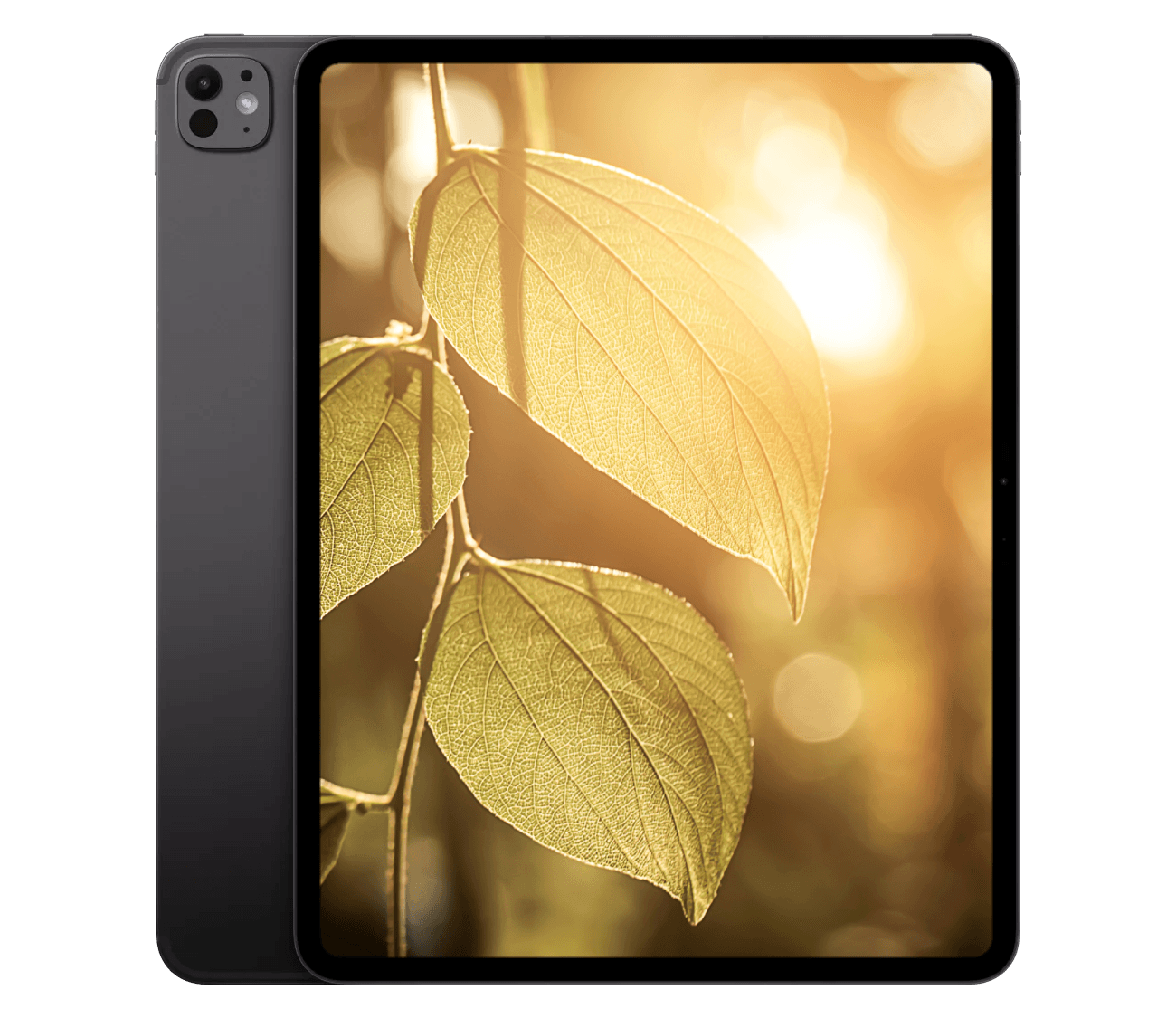 iPad Pro M5 (2025) 11" WiFi + 5G