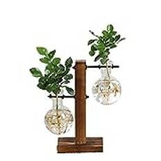 Vattenplantering glasvas, vertikala glaskrukor med vintage träram, avokado glas provrör vaser blommor ekollon växt odlingsstation för hem bord skrivbord inomhusdekor