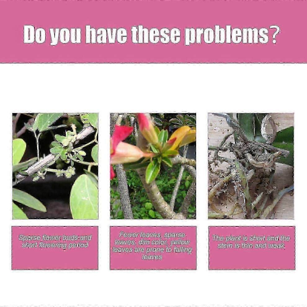 Premium 3-1-2 Liquid Fertilizer Spray for Desert Rose Plant, Special Fertilizer for Desert Rose Soil Nutrition And Seedling Fertilizer