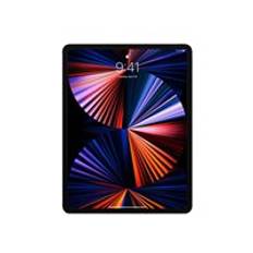 Apple iPad Pro Wi-Fi Cellular 12.9 256GB Grå Grade B