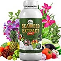 Parle Ropavatika Seaweed Concentrate Plant Nutrients Gödselmedel Organiskt Flytande 100ml - Flytande Gödsel för Växter, Grönsaker och Frukter - Gödselmedel BIO