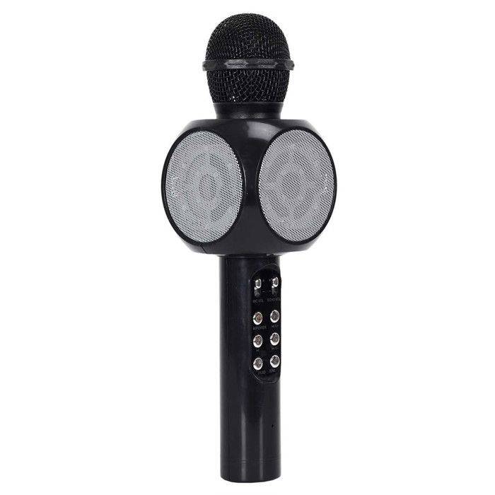 Mikro Karaokehögtalare - ALTOBUY - GROOVY - Trådlös - Lysande - Mini Discolampa USB