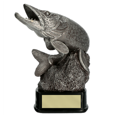 Fiske Gäddan 200mm  Gäddkungen 270 mm
