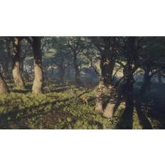 theHunter: Call of the Wild - Parque Fernando PC Steam CD Key