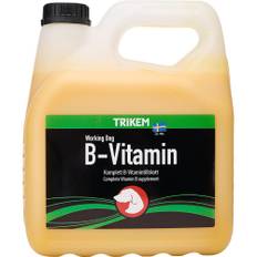 Trikem Wd B-Vitamin 3L