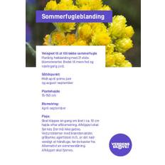 Sommerfugleblanding - frø