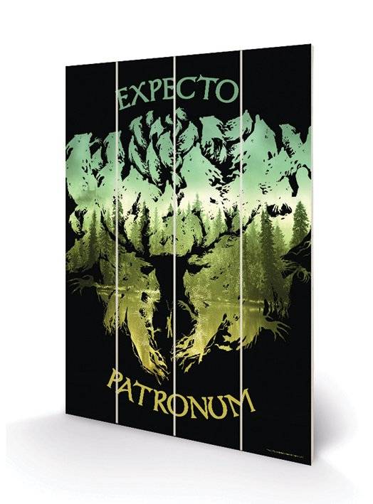 Harry Potter - Wood Print 20X29.5 - Expecto Patronum