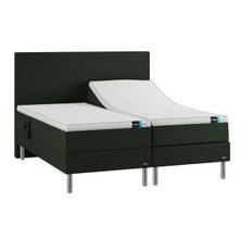 Temprakon boxelevationsseng inkl. sengeben (Green, Aluminium sengeben, B180 x L210 cm, 2 enkelte topmadrasser)