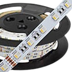 Robus VEGAS 12W/m, 24V, 60LED/m, LED Strip Light, RGBW + White 3000K, IP20, 30m