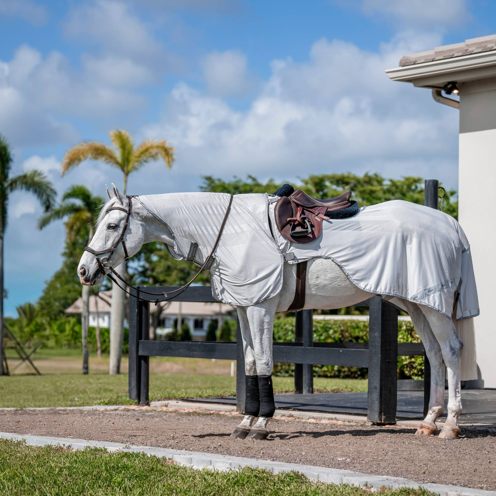 Amigo FlyRider - Silver, Horseware