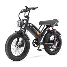 PURE UNICORN U5 Moped Electric Bike 1000W 20'' Fat Tire Mountain Bike for Adult with 48V19.2Ah Battery