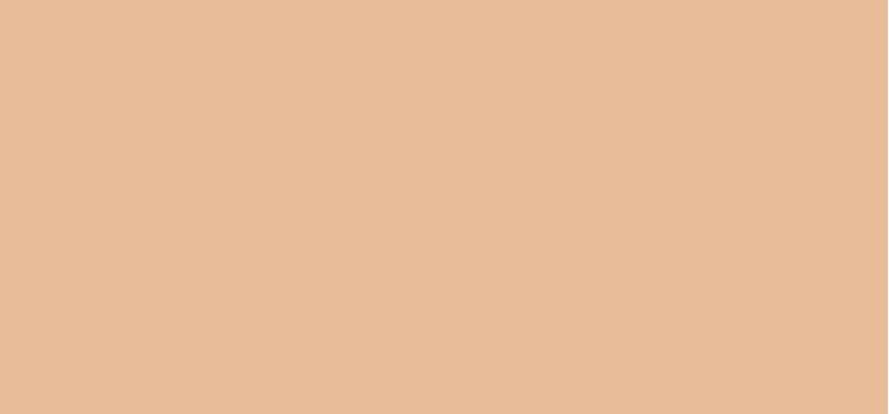 Tirtir Make-Up Mask Fit Red Foundation 30 ml - Tonalità: 22N Shell Beige