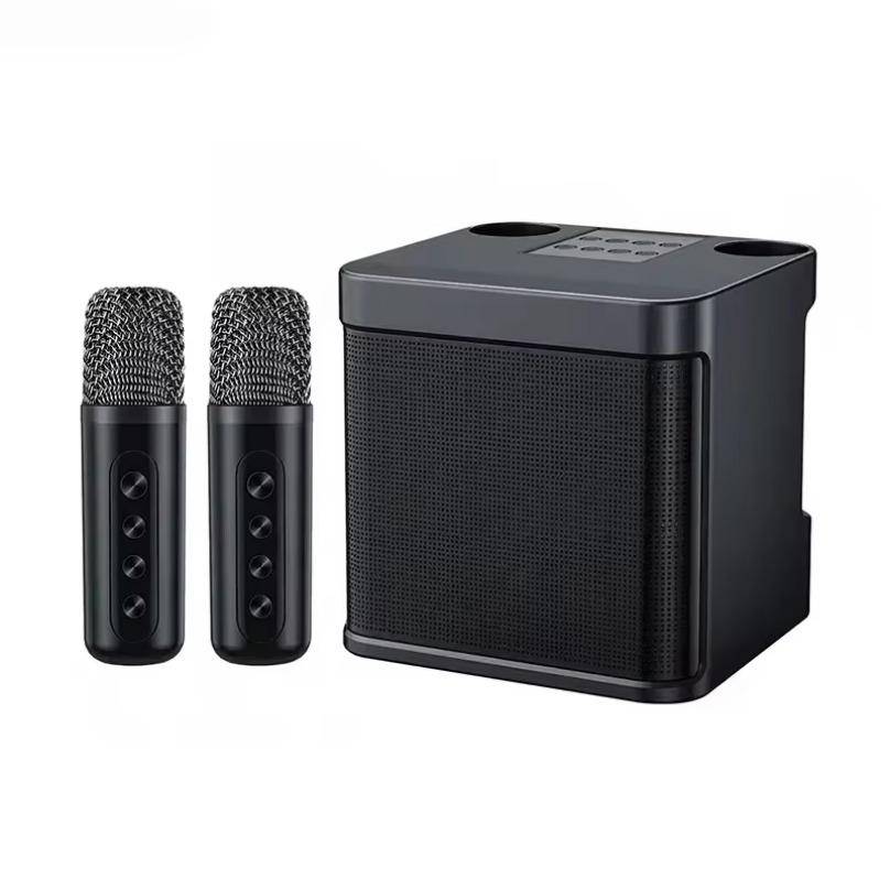 Dubbel mikrofon karaokemaskin för vuxna och barn Bärbart Bluetooth-högtalarsystem med 2 trådlösa mikrofoner för hemmet svart