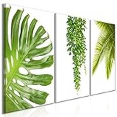 murando Väggbild Canvastavla Tropiska Löv Monstera 120x60 cm XXL Tryck Väggtavla 3 delar Kanvasbilder Väggmålningar Väggdekoration grön b-B-0309-b-e